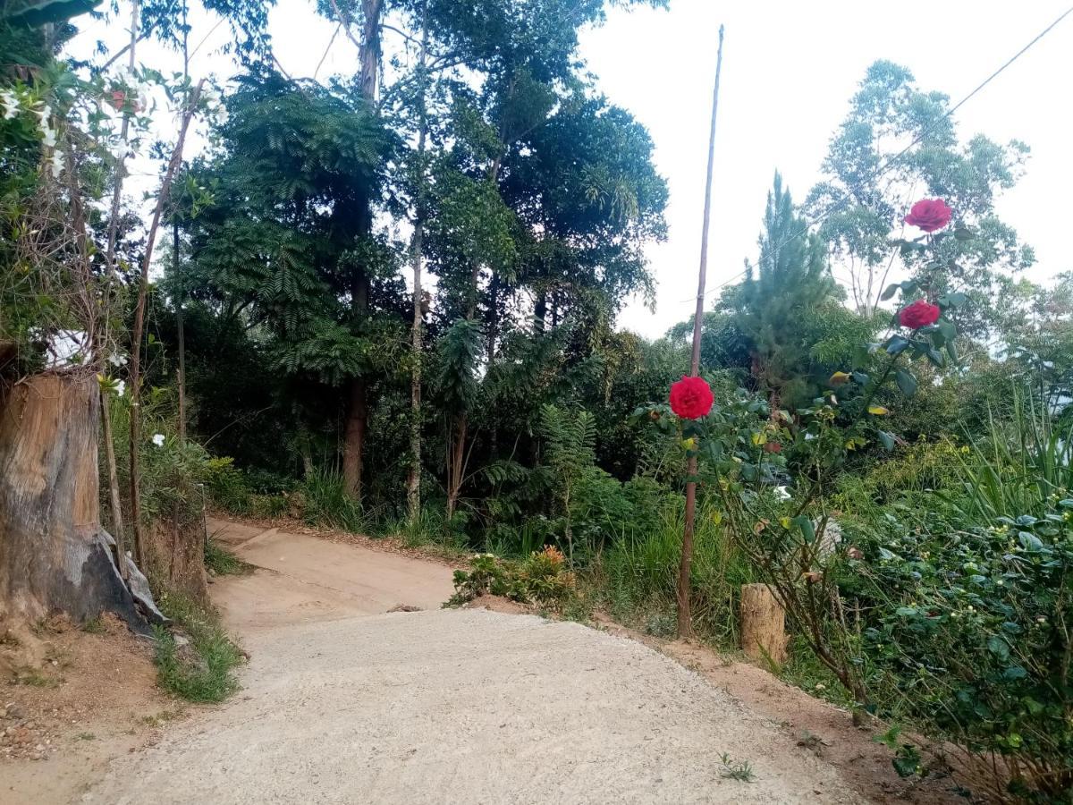 Apurvi Homestay เอลลา ภายนอก รูปภาพ